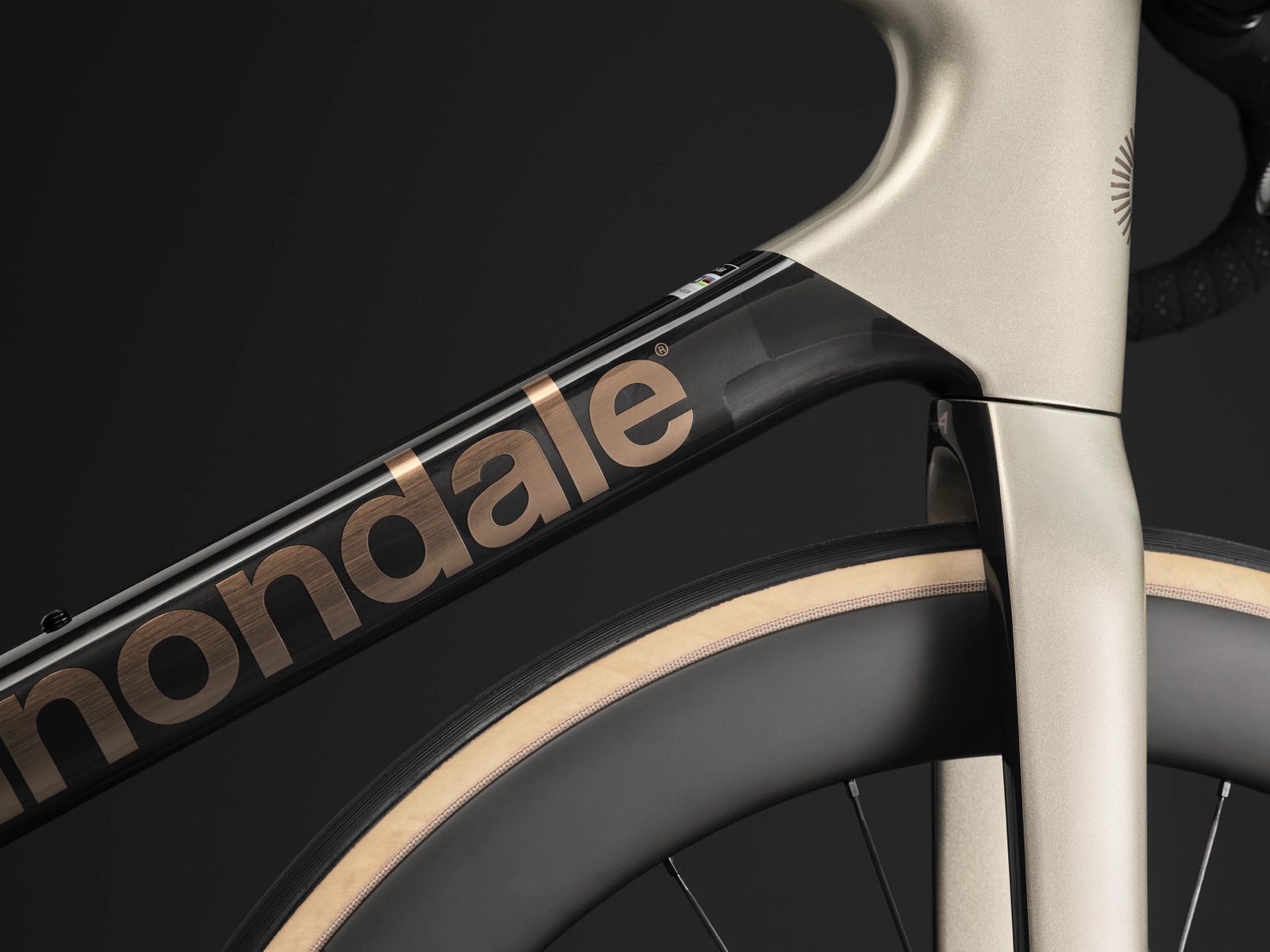 Pormenor da Cannondale SuperSix EVO
